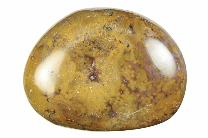 Polished Ocean Jasper Stone - New Deposit #248175